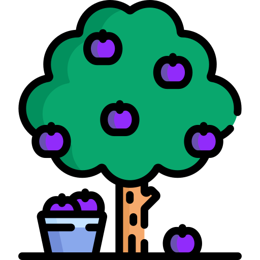 Lesson Icon